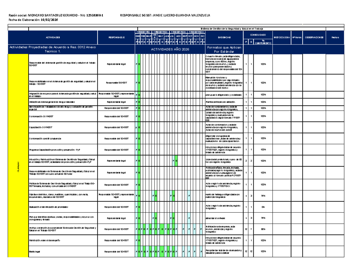 PLAN Anual de Seguridad y Salud en el Trabajo 2026 - SGSST - Studocu