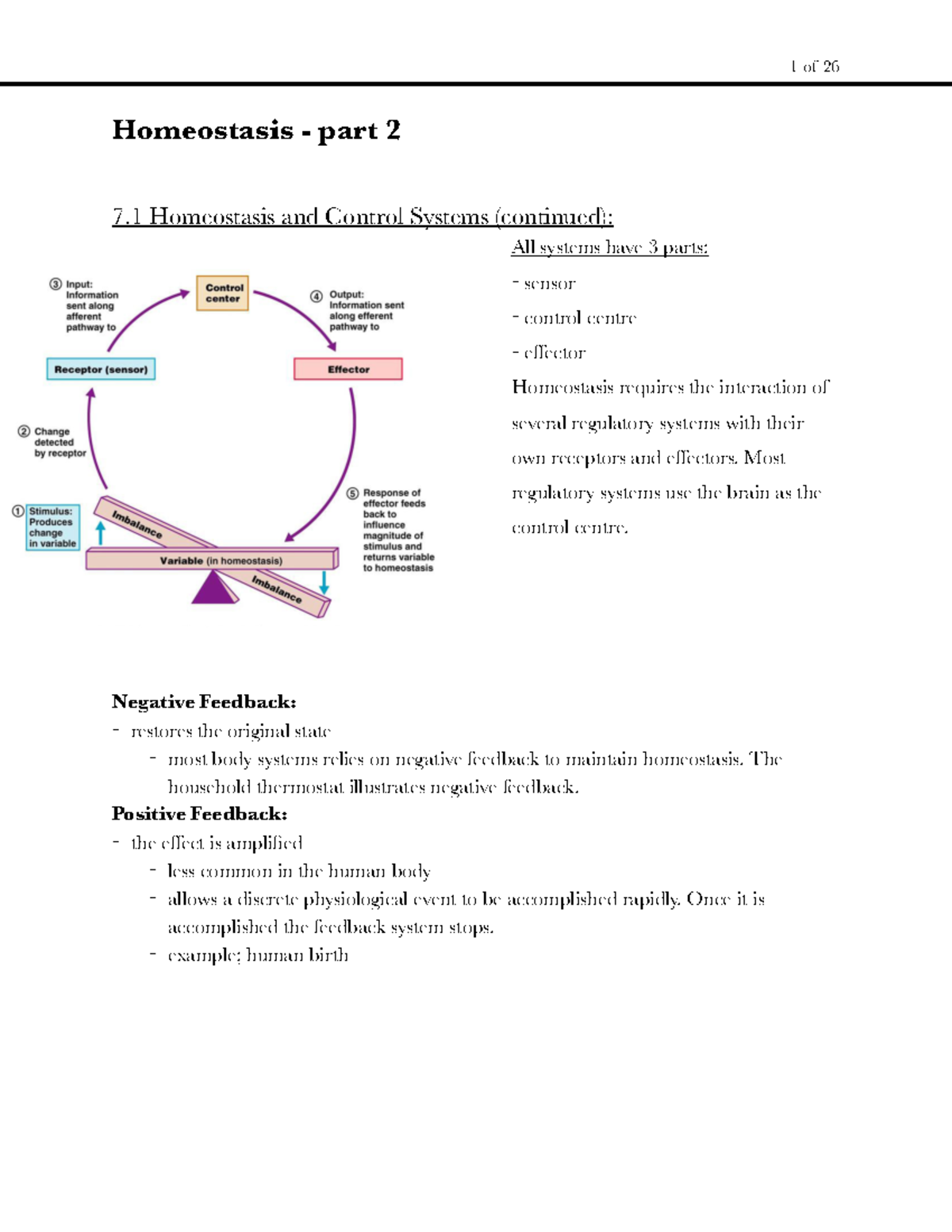Grade 12 Lesson 3 Homeostasis