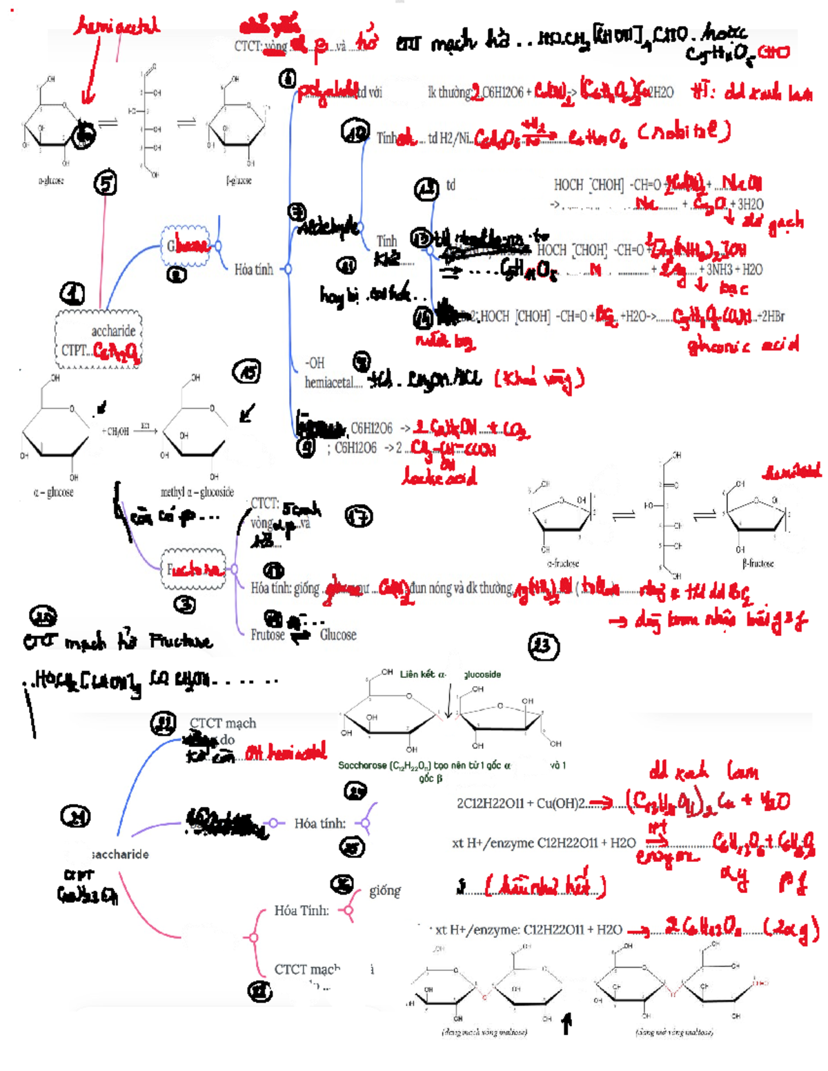 Hemicatal CTCT: Mono-Disaccharide Đáp Án và Hóa Tính - Studocu