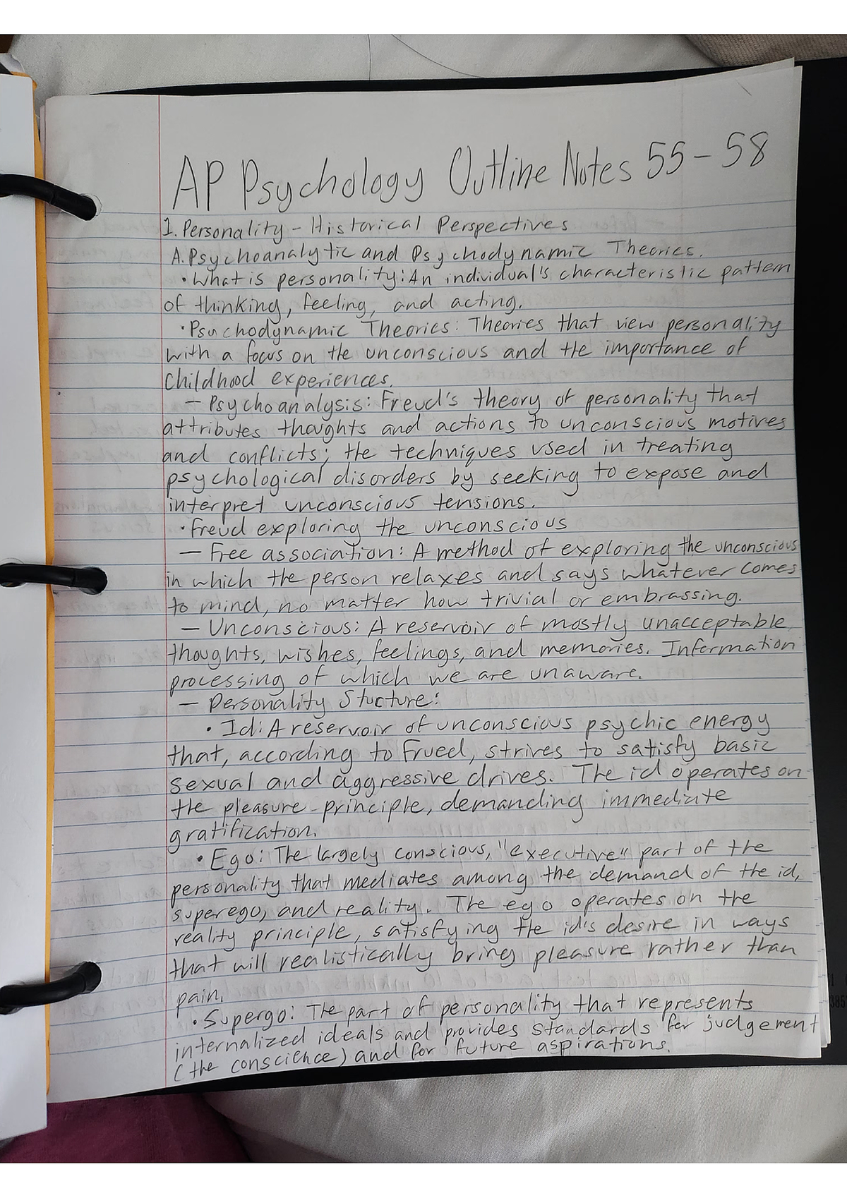 AP Psychology Outline Notes 55-58: Personality Theories & Perspectives ...