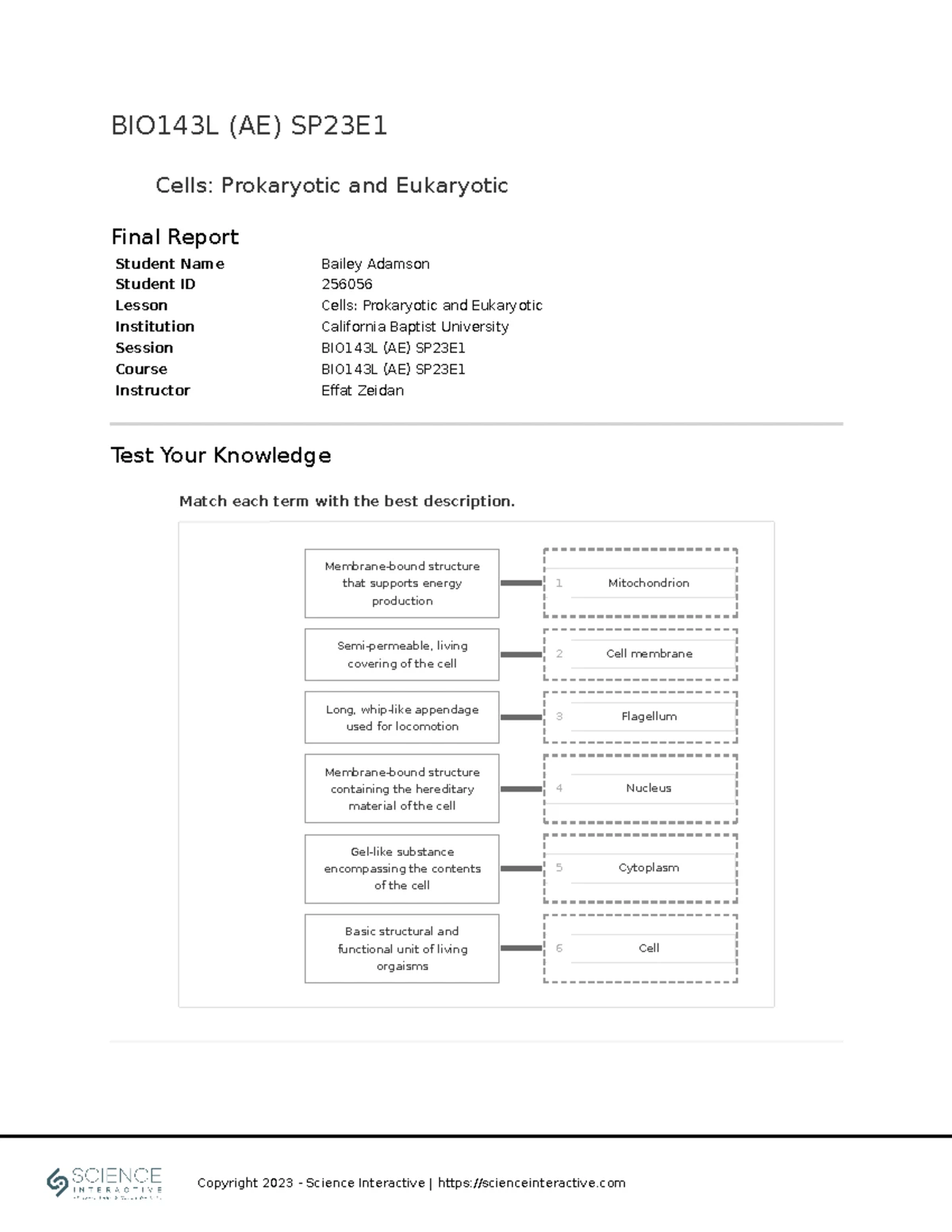 BIO143L Genetics and Genomics Final Report - Bailey Adamson 256056 ...