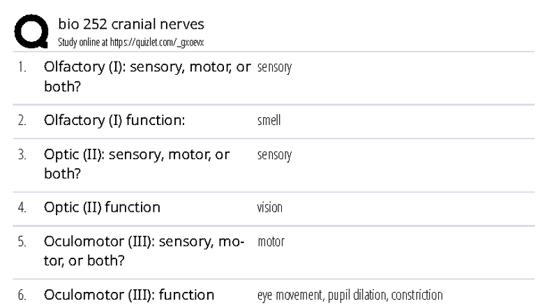 BIO 252 Final Exam Study: Cranial Nerves Overview - Studocu