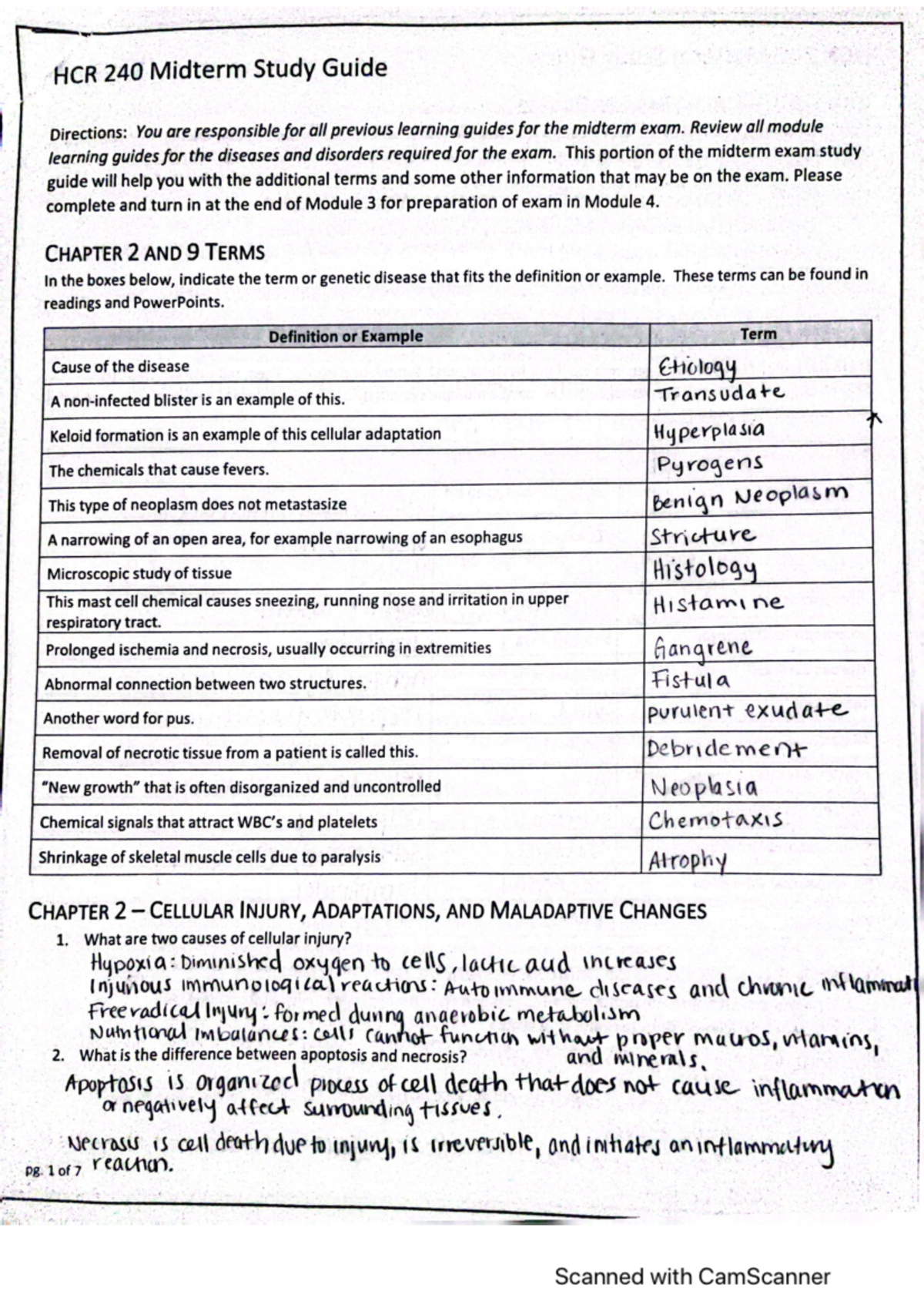 Midterm Study Guide for Comprehensive Exam Preparation - Studocu