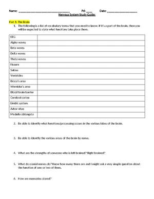 Nervous System Study Guide: Key Concepts and Functions - Studocu