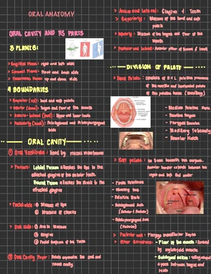 Oral Anatomy Prelim Notes for Course DENT 101: Detailed Study - Studocu