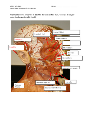 解剖学 1 Anatomy 1 解剖学 1 Anatomy 1 Anatomy + Physiology 1 (LAB Chapter 1