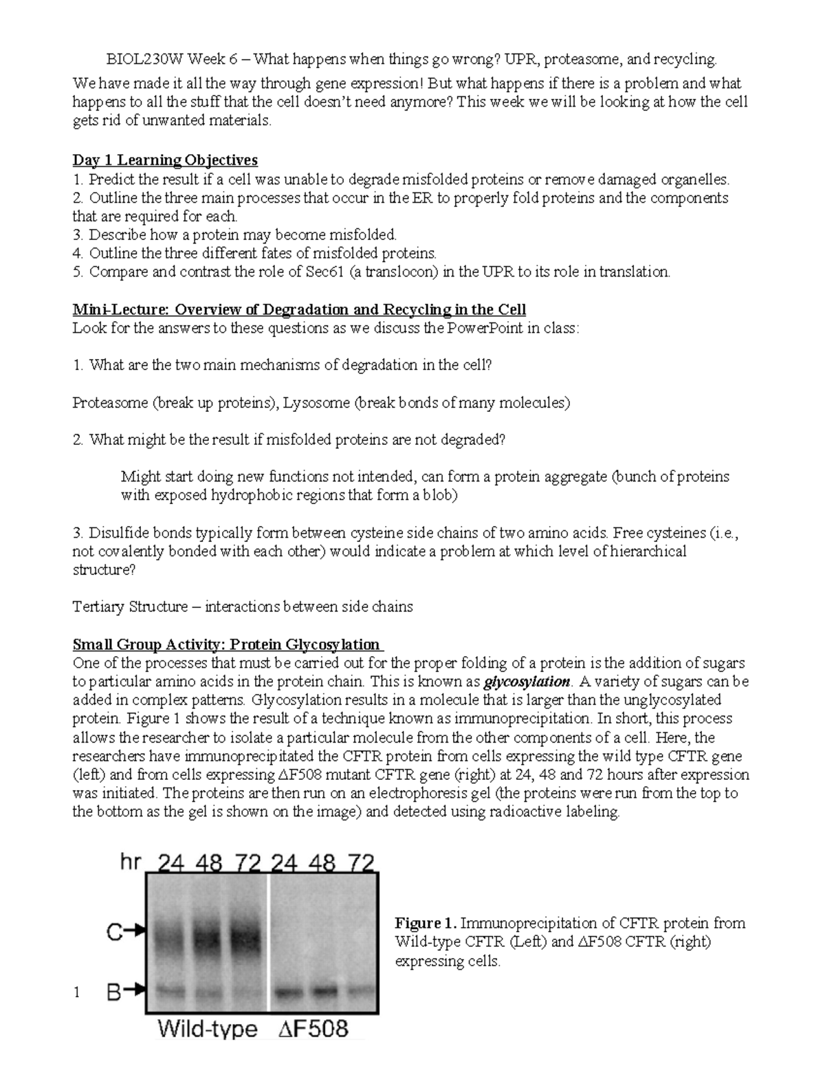 Week 6 Lecture Notes: Protein Degradation and Misfolding Analysis - Studocu