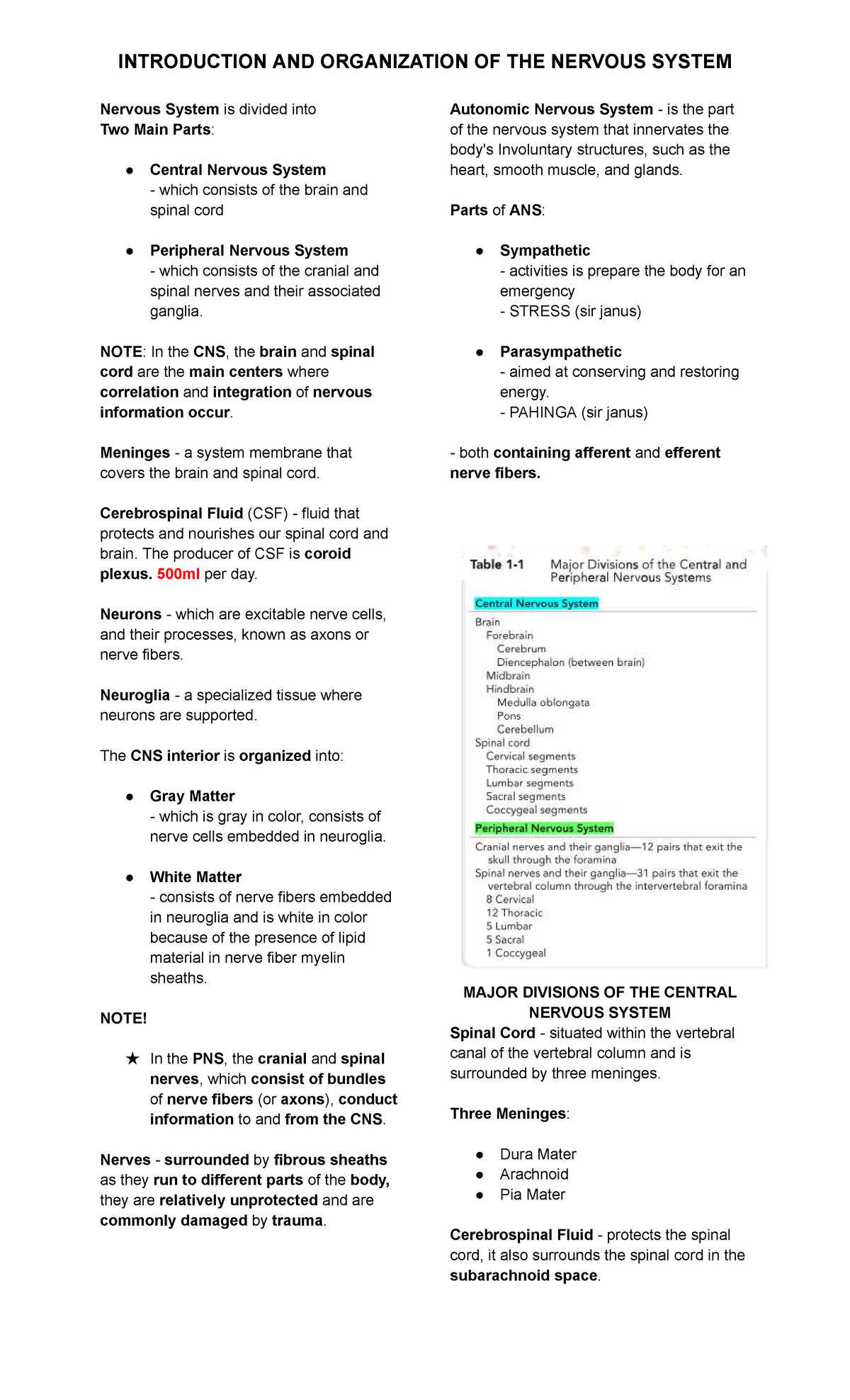 Neuroanatomy Overview: Organization of the Nervous System - ANAPHY ...