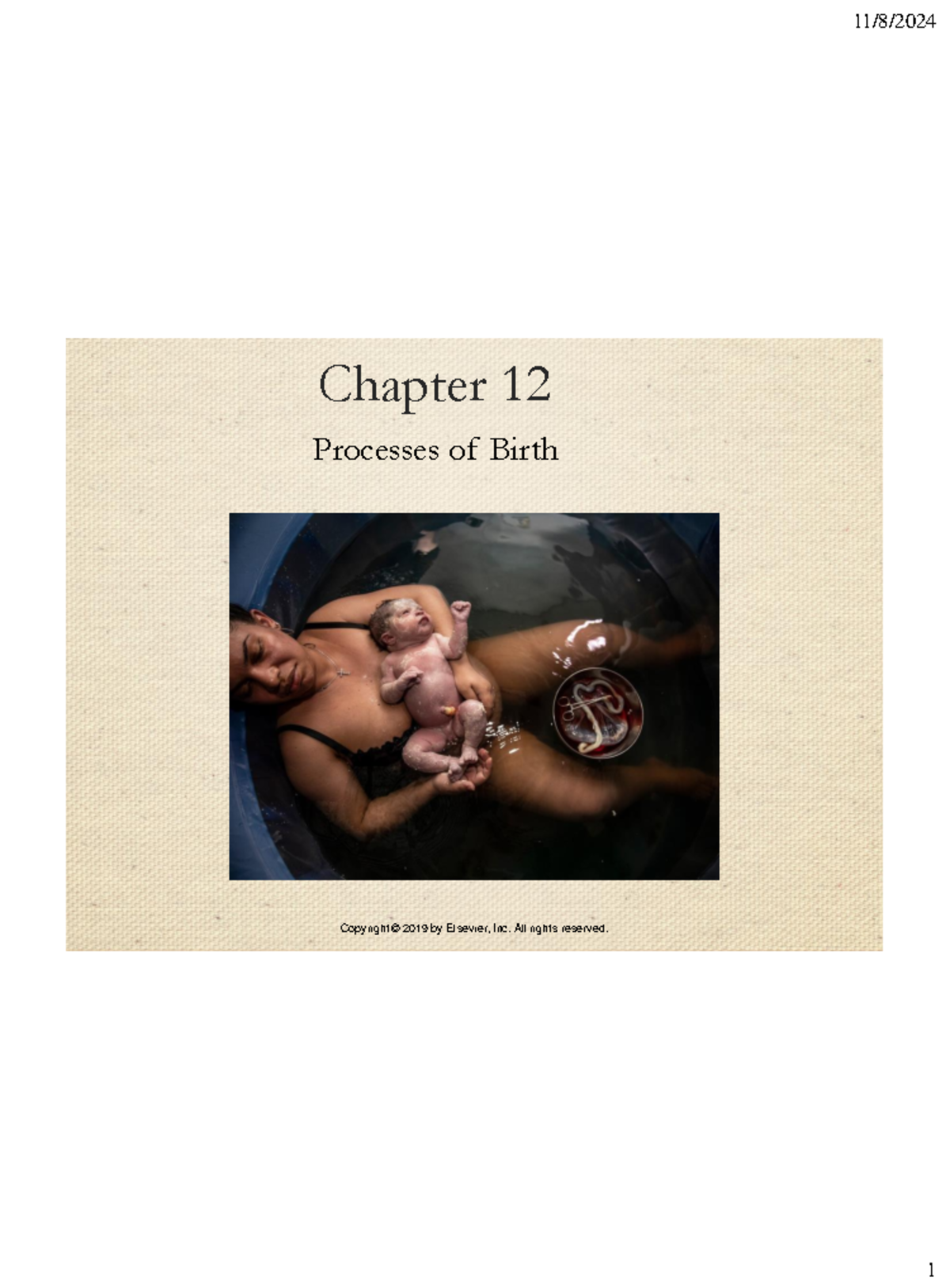 Chapter 12: Processes of Birth - Physiological & Psychological ...
