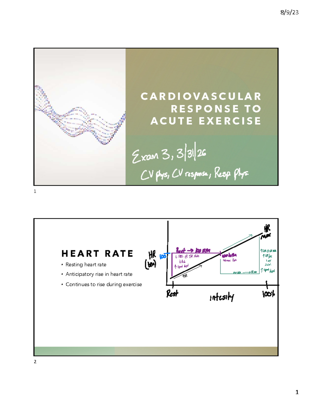 CV Physiology: Cardiovascular Response to Acute Exercise - Exam 3 Notes ...