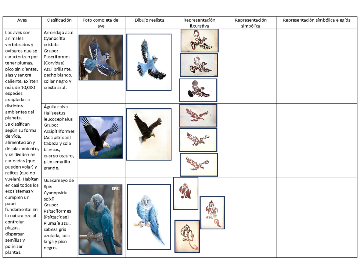 Clasificación de Aves: Tabla Morfológica y Características - Studocu