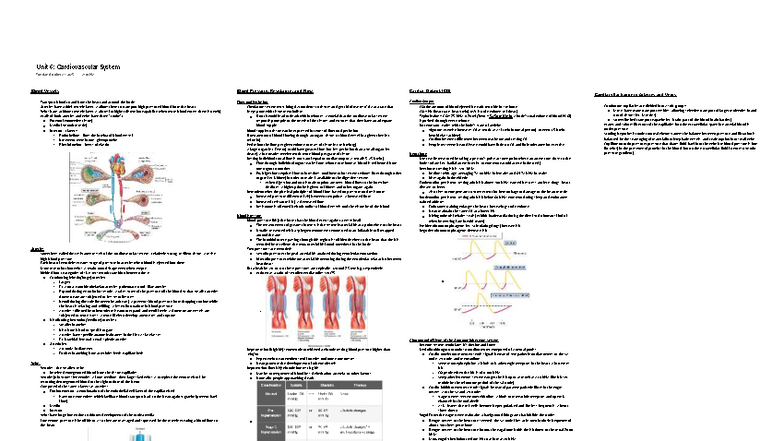 Unit 6: Cardiovascular System Overview and Key Concepts - Studocu