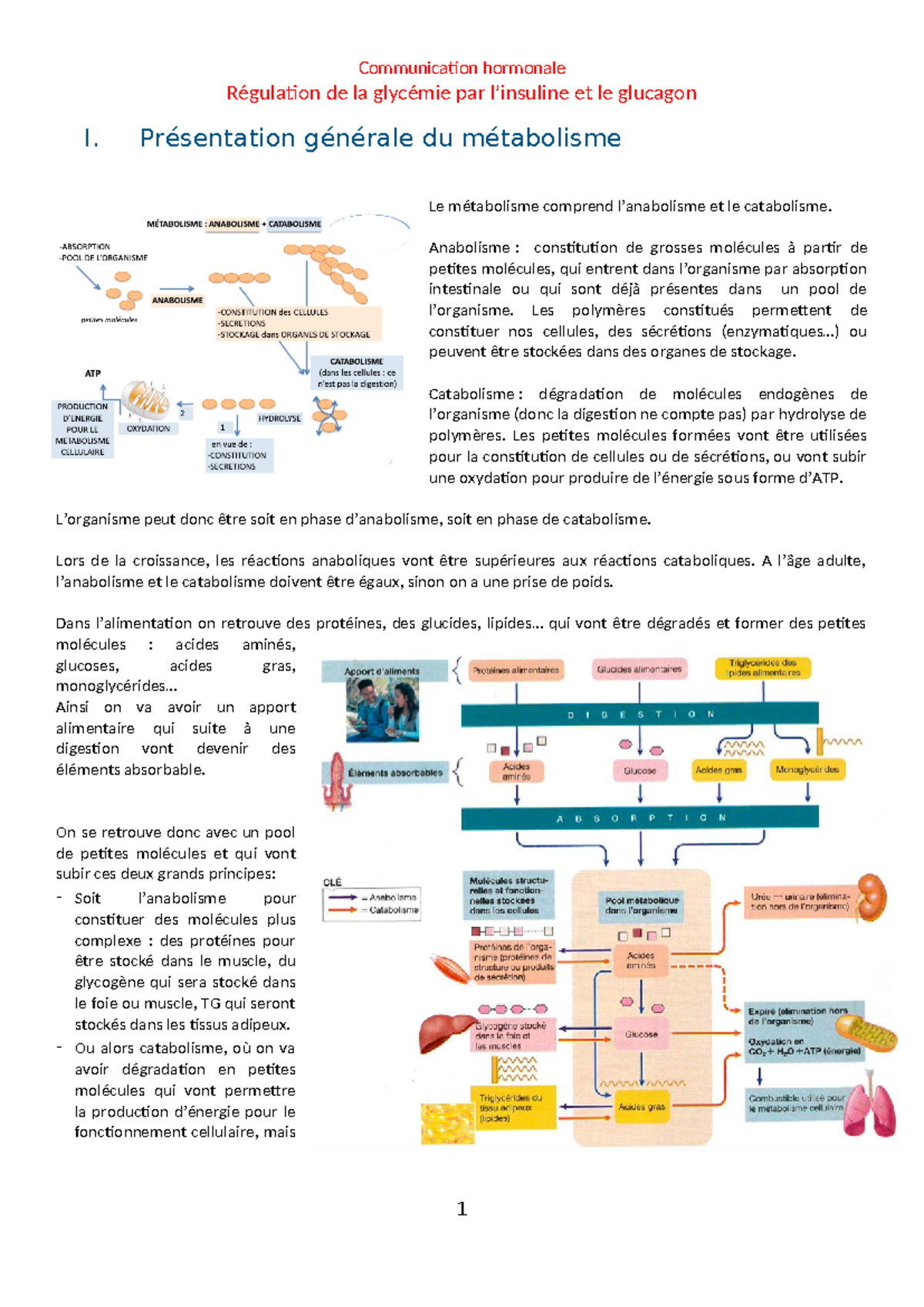 r-gulation-de-la-glyc-mie-par-l-insuline-et-le-glucagon-communication