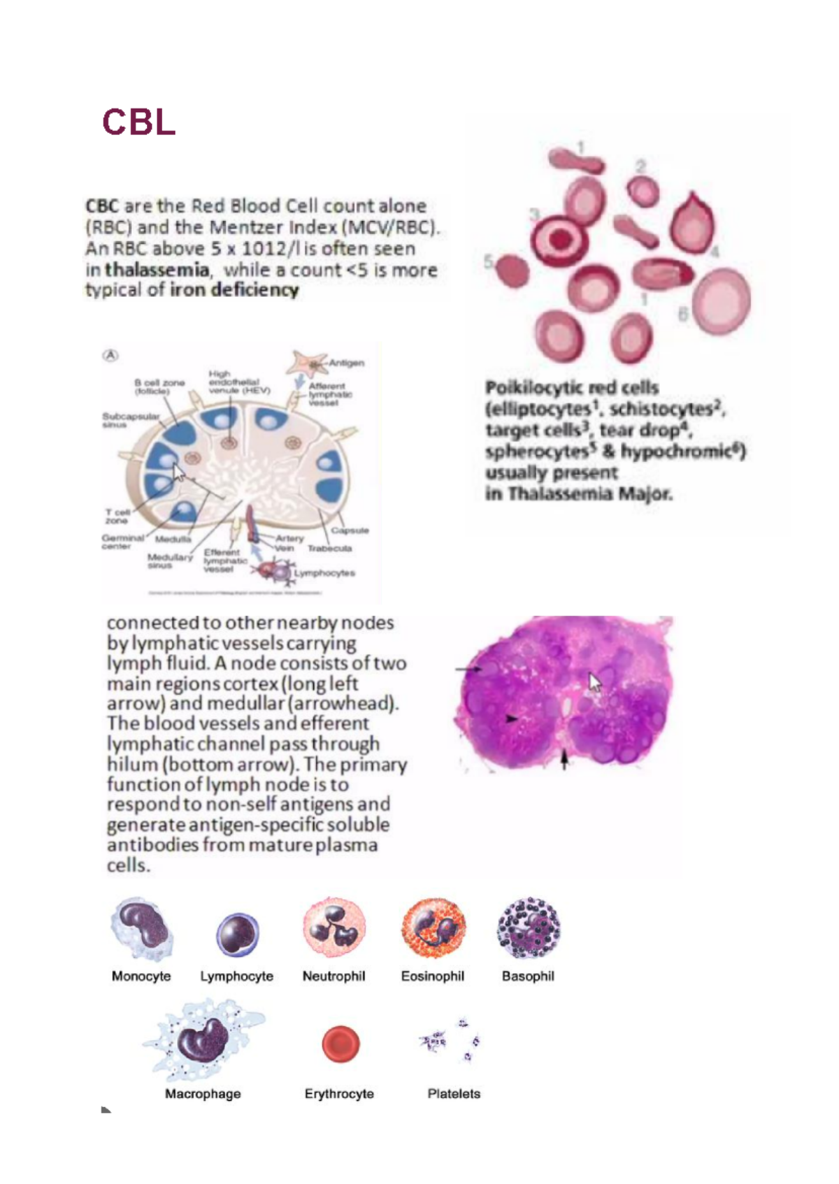 CBLS-BM - Case based studies for 1st year mbbs - CBL CBC are the Red ...