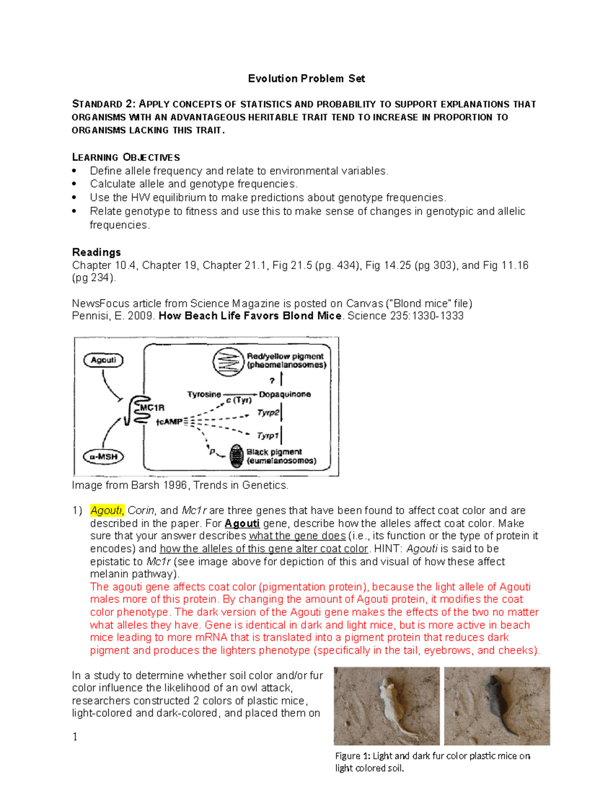 Evolution Problem Set: Allele Frequencies & Selection in Mice (Standard ...