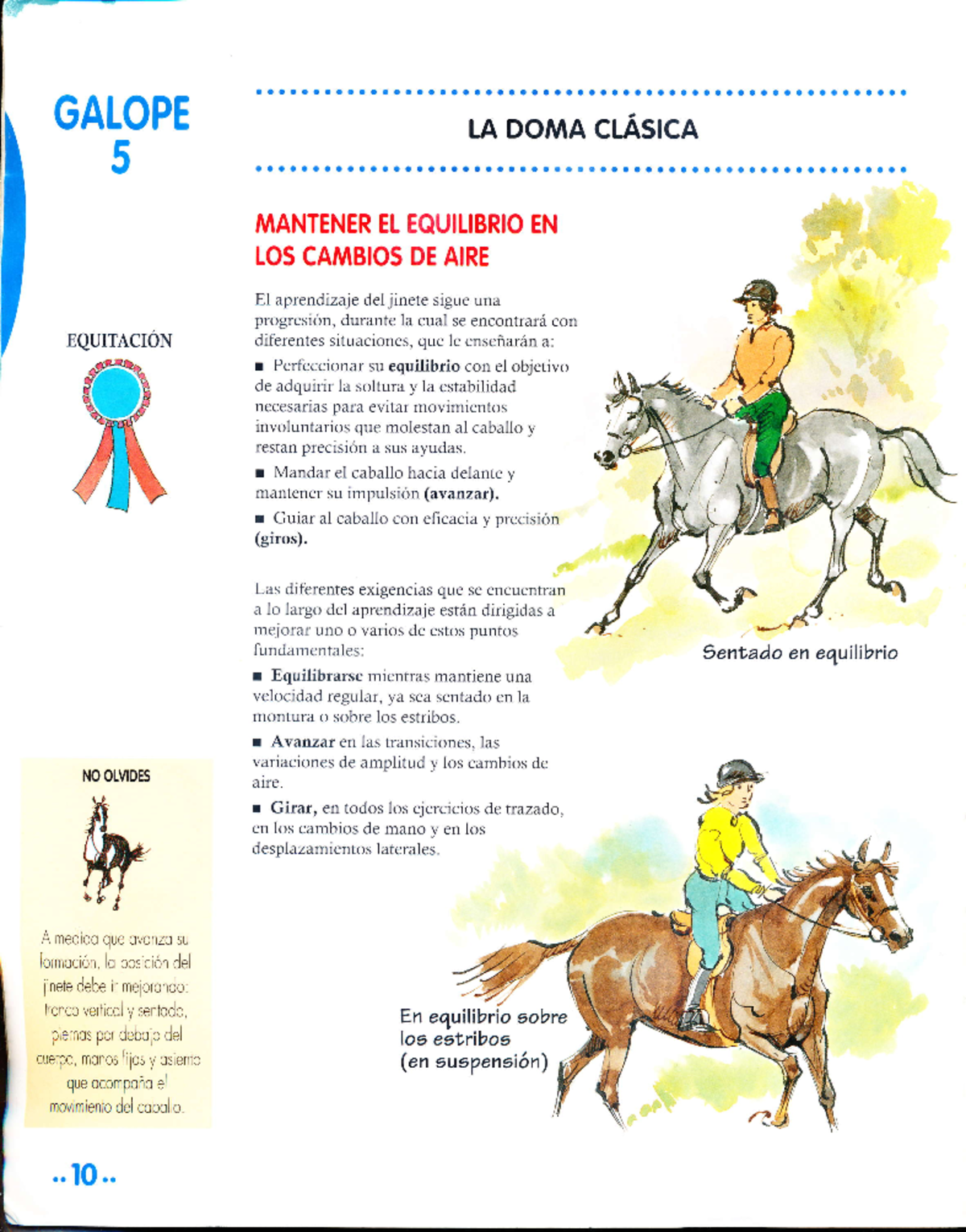 GALOPE 5: MANTENIMIENTO DEL EQUILIBRIO Y AYUDAS EN LA DOMA CLÁSICA - Document Preview