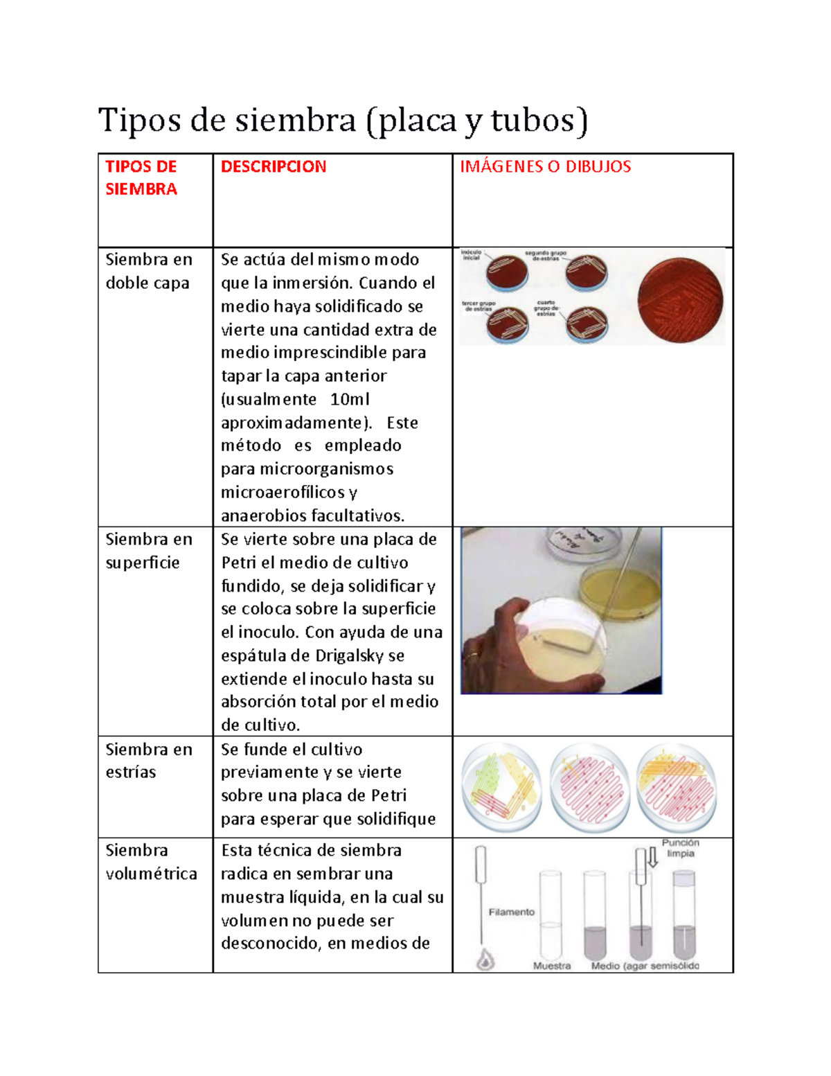 Tipos de Siembra en Microbiología: Métodos y Descripciones - Studocu