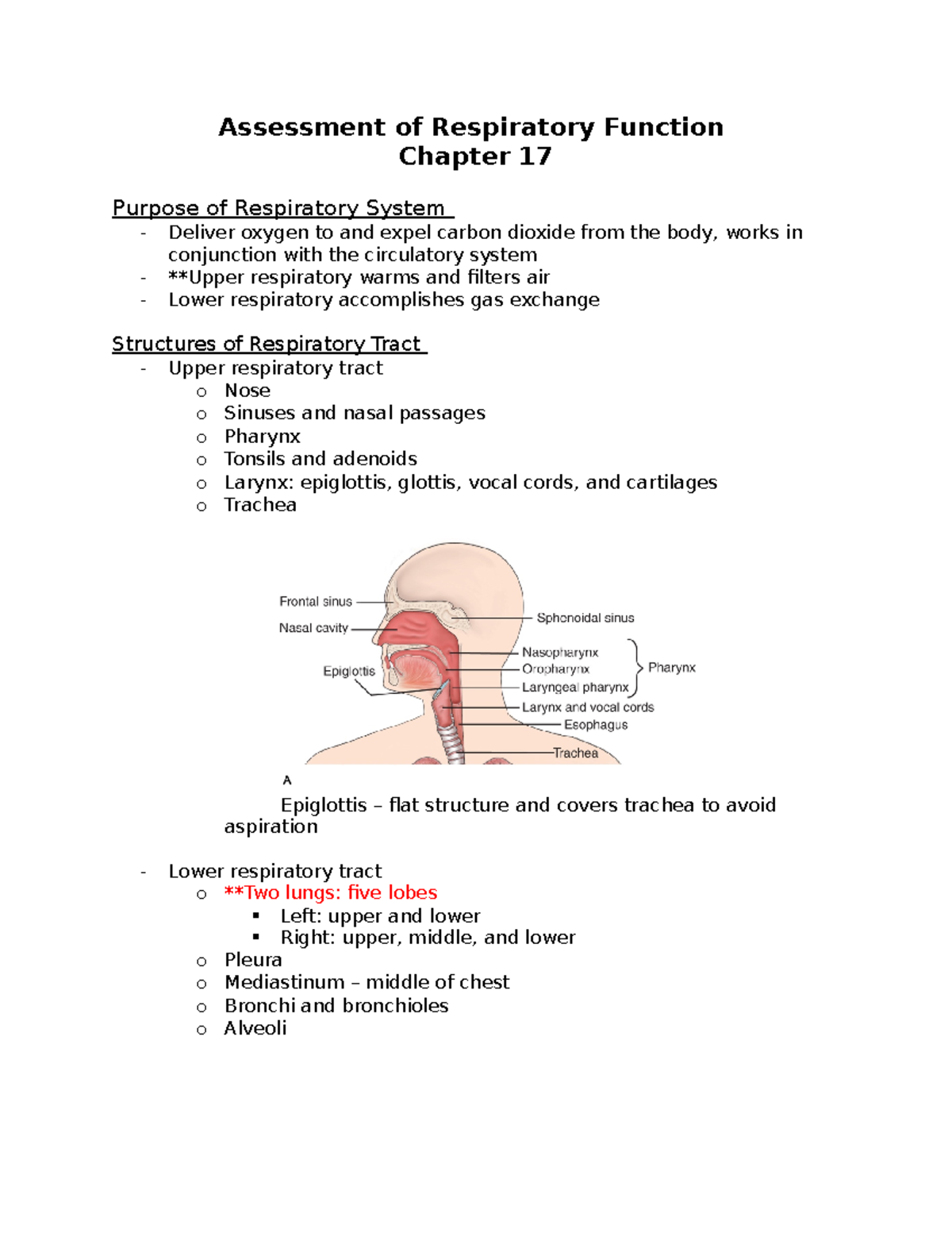 Assessment of Respiratory Function - T2 Study Notes - Studocu