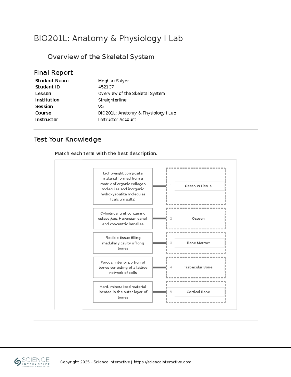 BIO201L: Anatomy Physiology I Lab Final Report on Skeletal System - Studocu