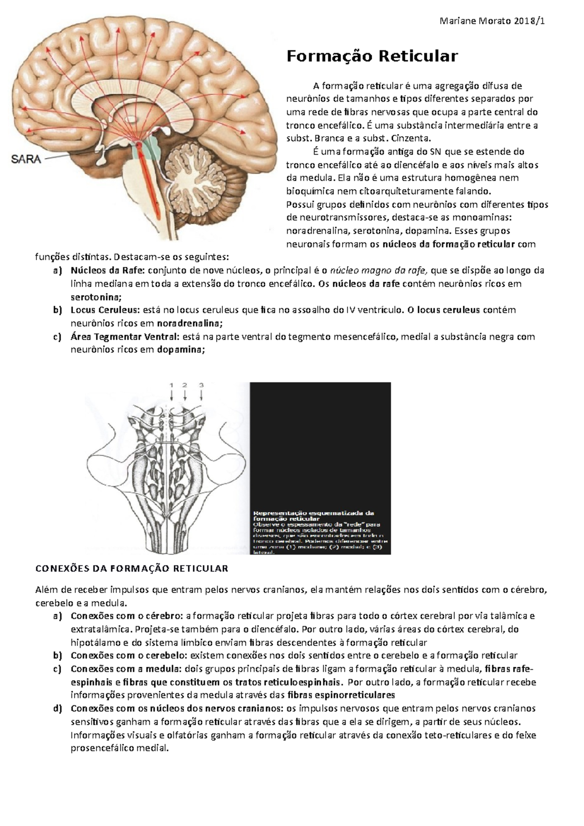 Localizacao Da Formacao Reticular Neuroanat UNICAMP