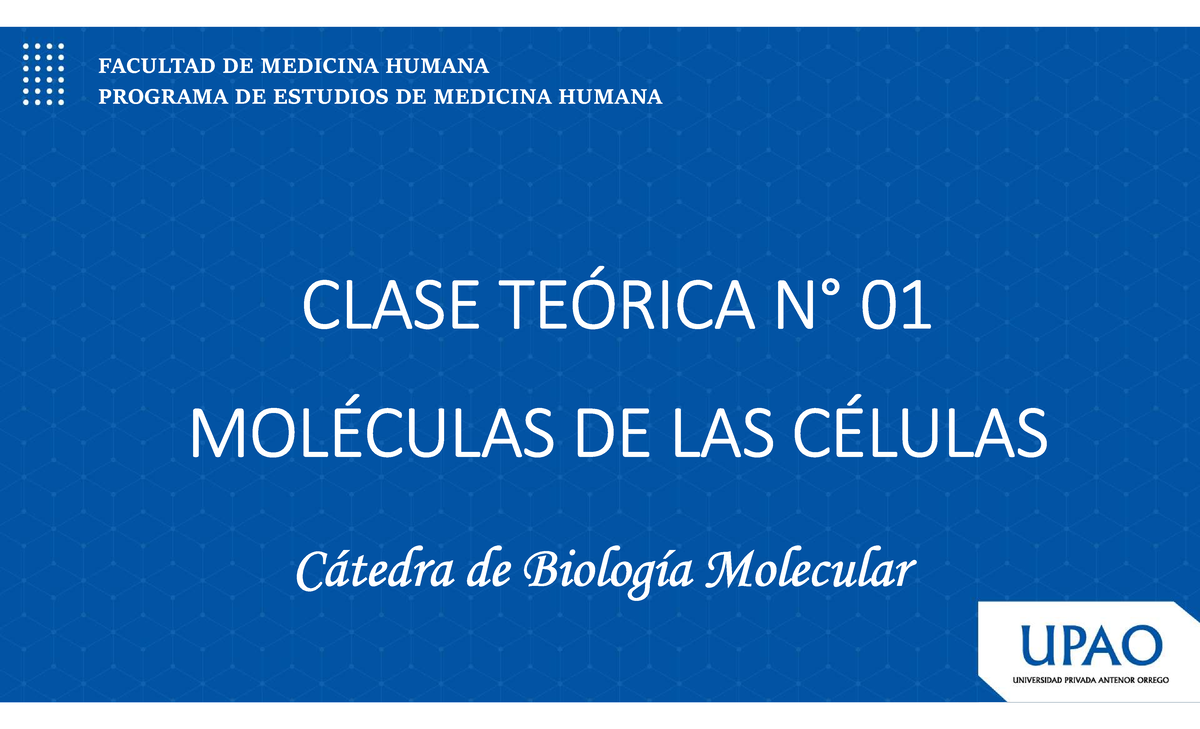 Caso Clínico: Enfermedad de Alzheimer y Biología Molecular - BM 2025-20 - Document Preview