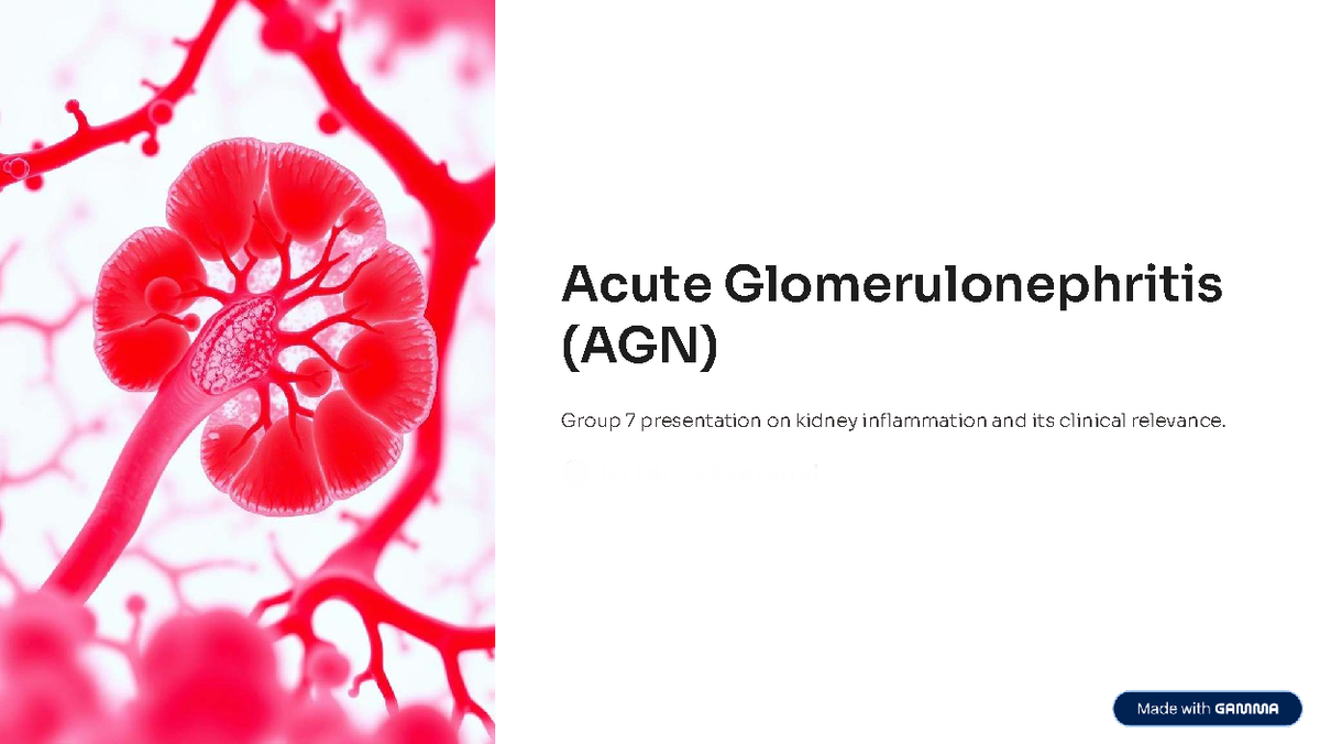 Acute Glomerulonephritis (AGN) Group 7 Presentation on Kidney ...