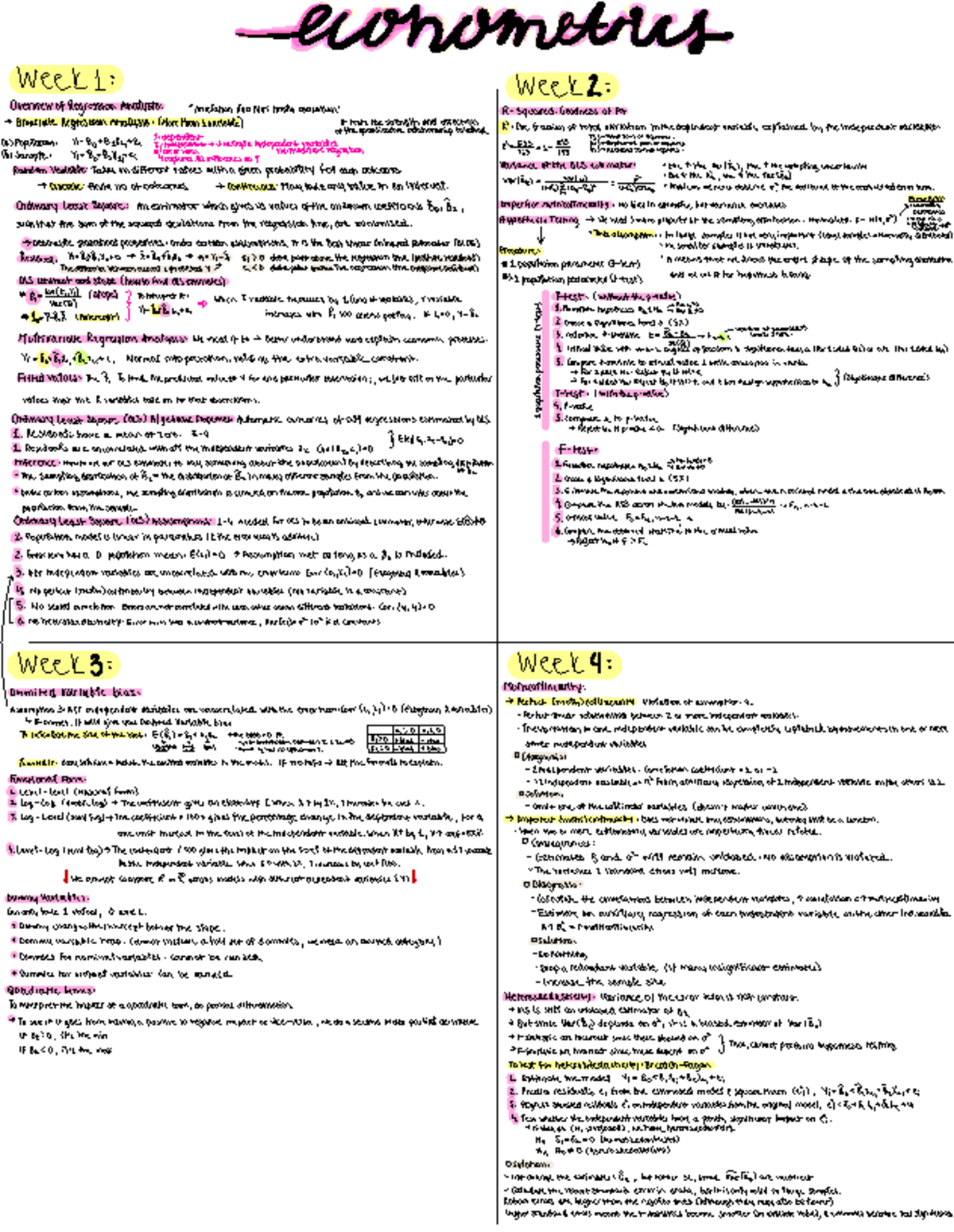 Econometrics (ECO 101) - Final Exam Revision Notes Summary - Studeersnel