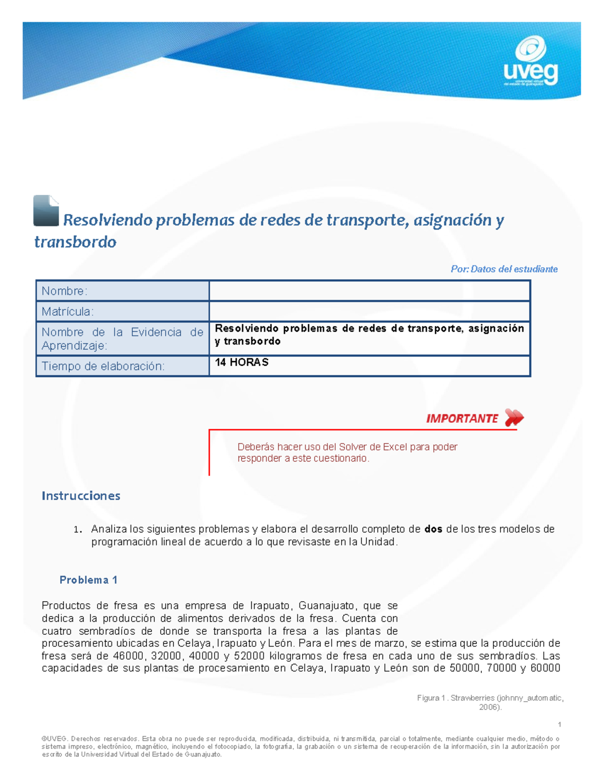 Medina Fernando EA5 - Análisis de Programación Lineal en Redes de ...