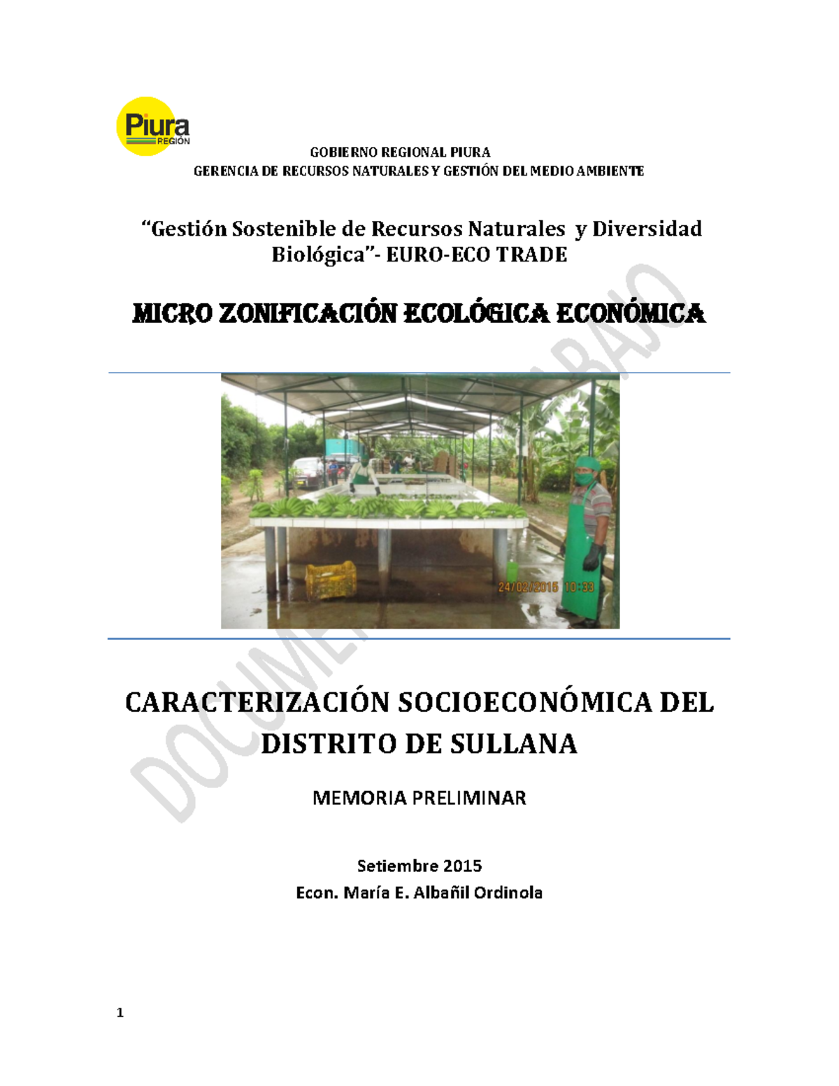 Caracterización Socioeconómica del Distrito de Sullana - GOBIERNO REGIONAL PIURA - Document Preview