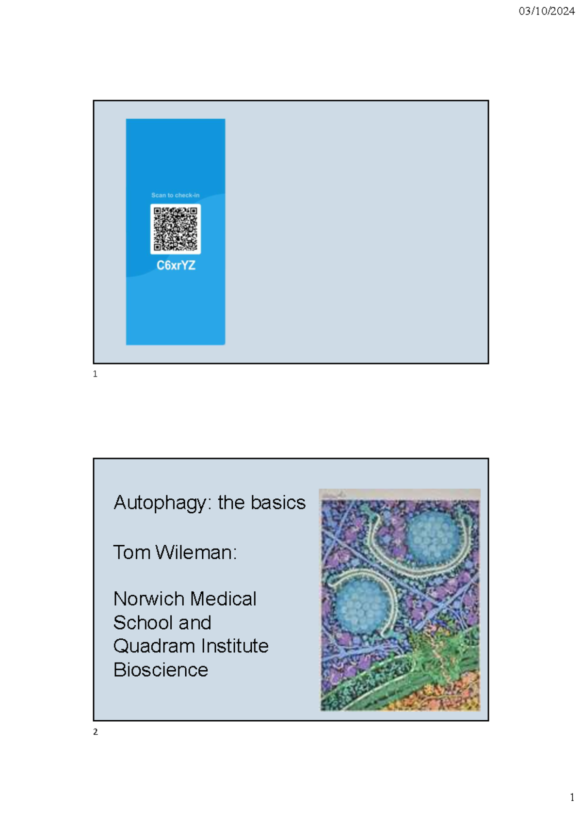 Autophagy Fundamentals: Mechanisms and Implications in Health ...