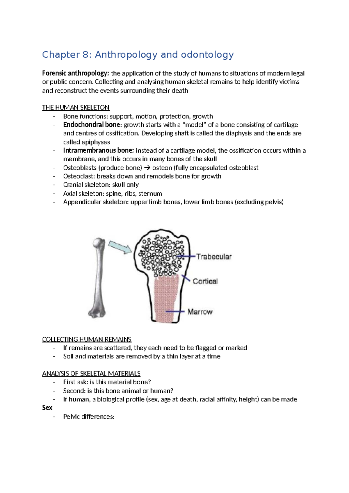 CHE103 - Chapter 8: Forensic Anthropology and Human Skeletal Analysis ...