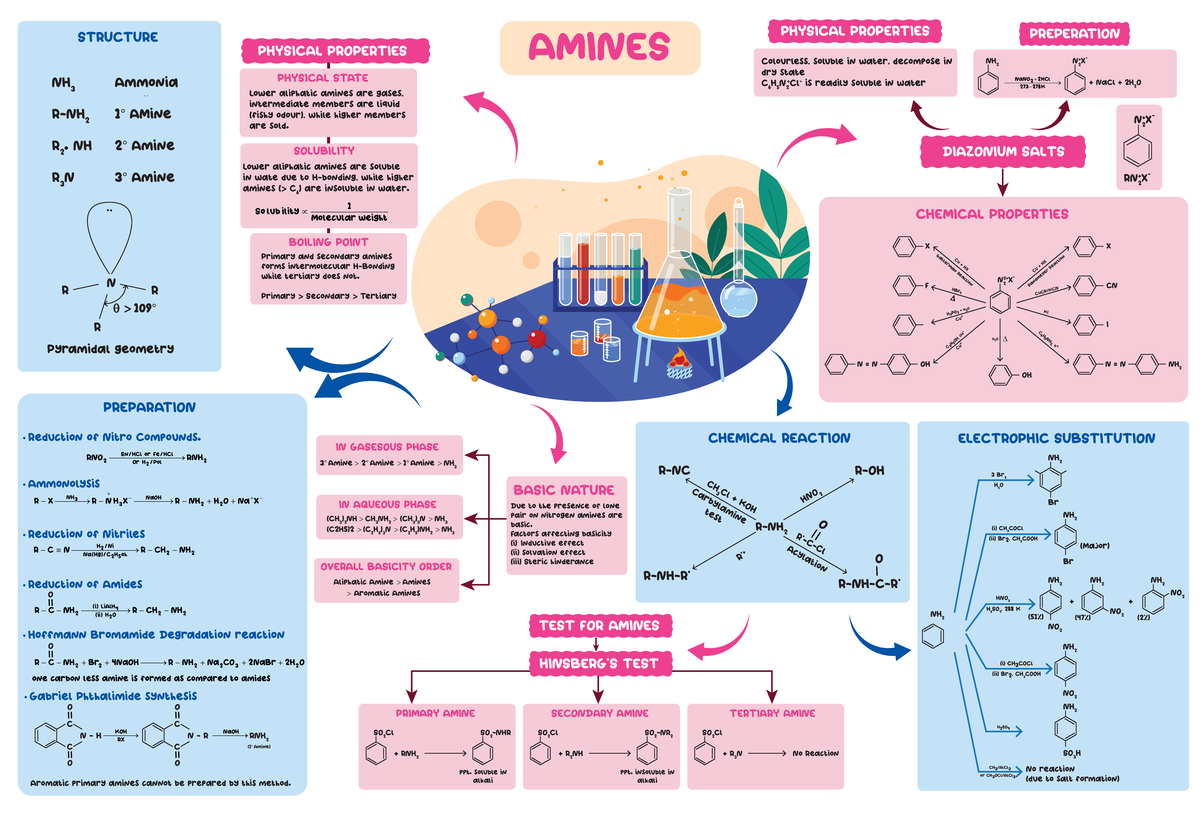 Amines: Reduction and Synthesis Reactions (Chemistry 101) - Studocu