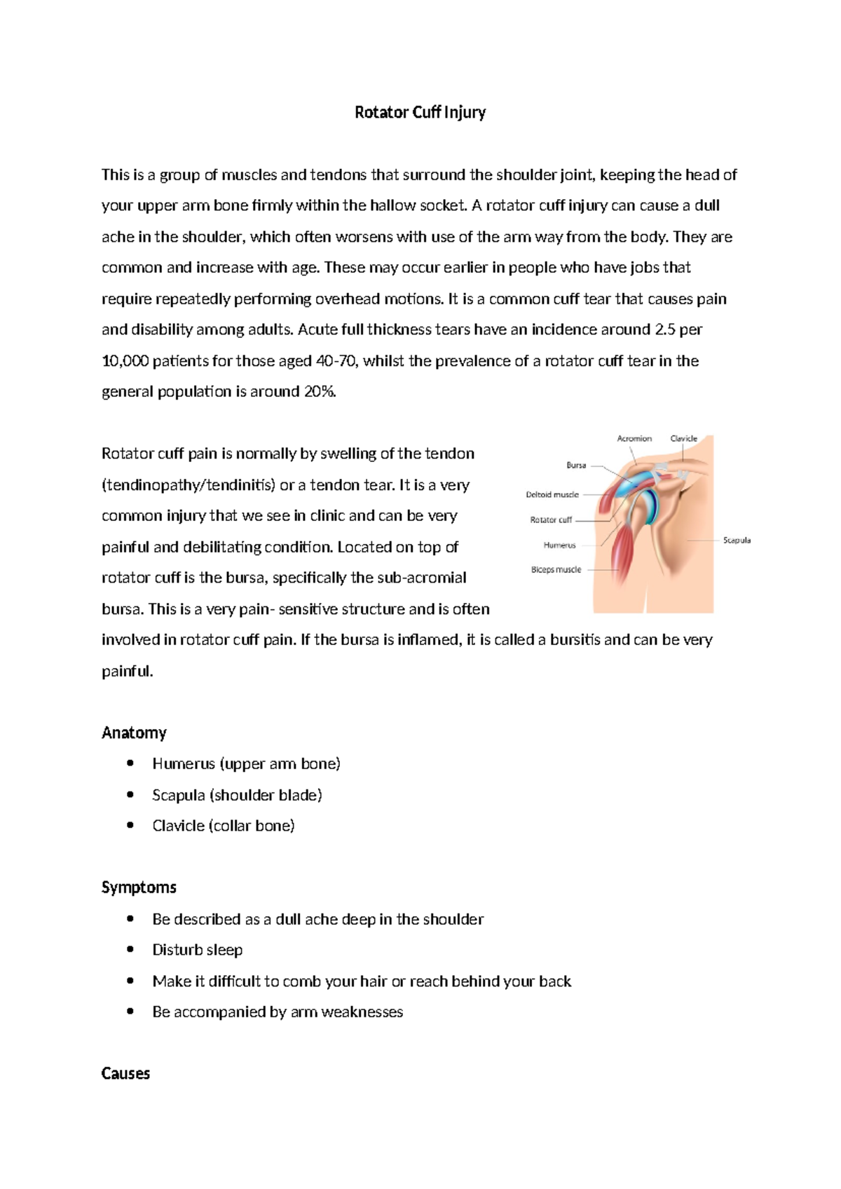 Rotator Cuff Injury: Causes, Symptoms, and Treatment Options - Studocu