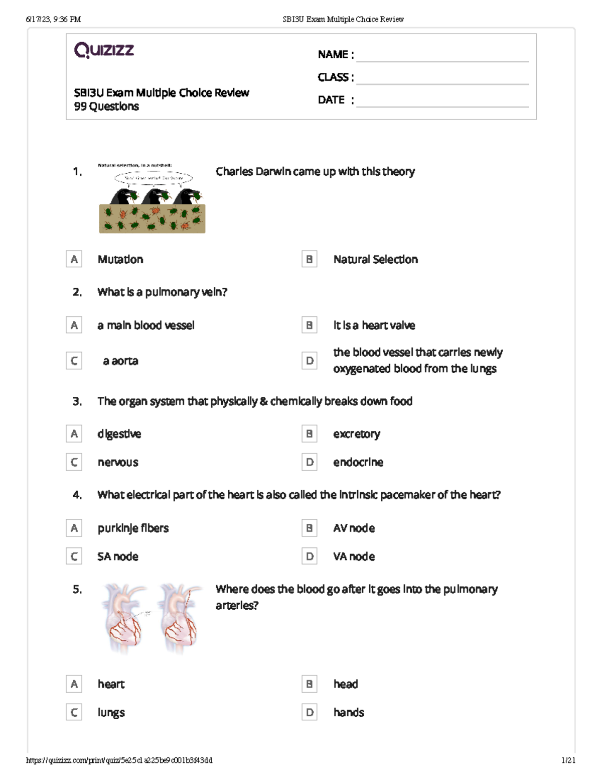 SBI3U Final Exam Multiple Choice Review - 99 Questions Overview - Studocu