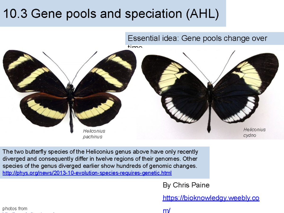IB Biology 10.3 Gene Pools and Speciation Presentation by Chris Paine ...