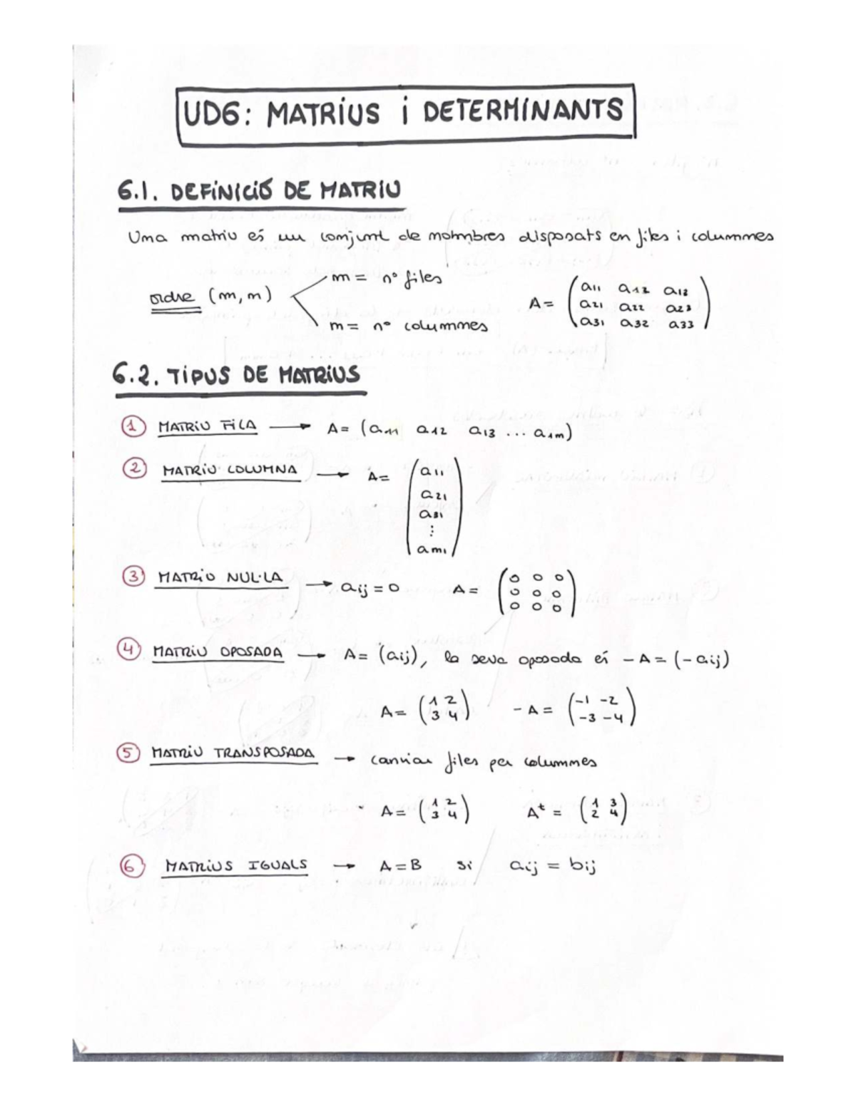 UD6: Resum sobre Matrius i Determinants - Conceptes Clau i Exemples ...