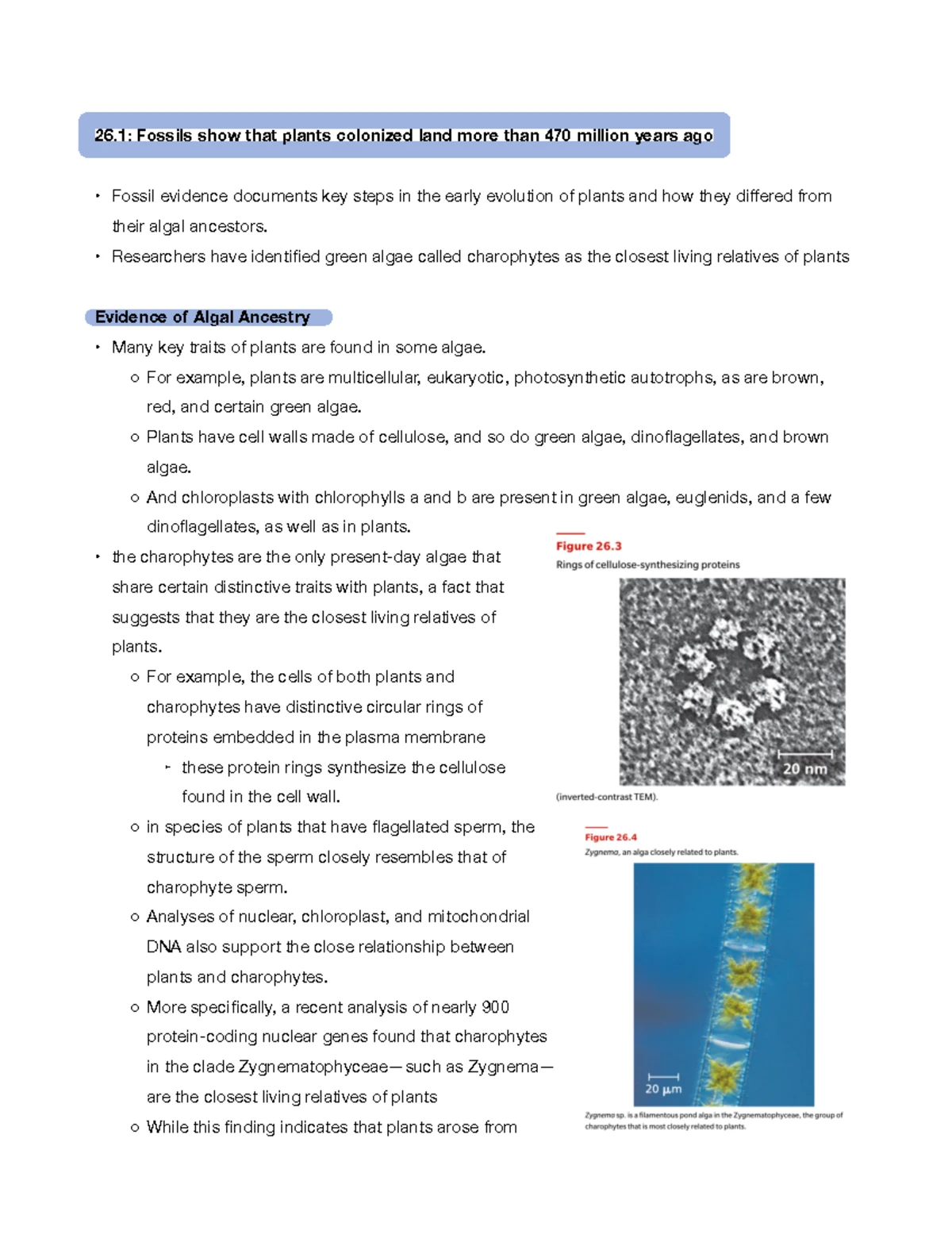 BI223 Lecture Worksheet 23: Population Ecology and Conservation Plans ...
