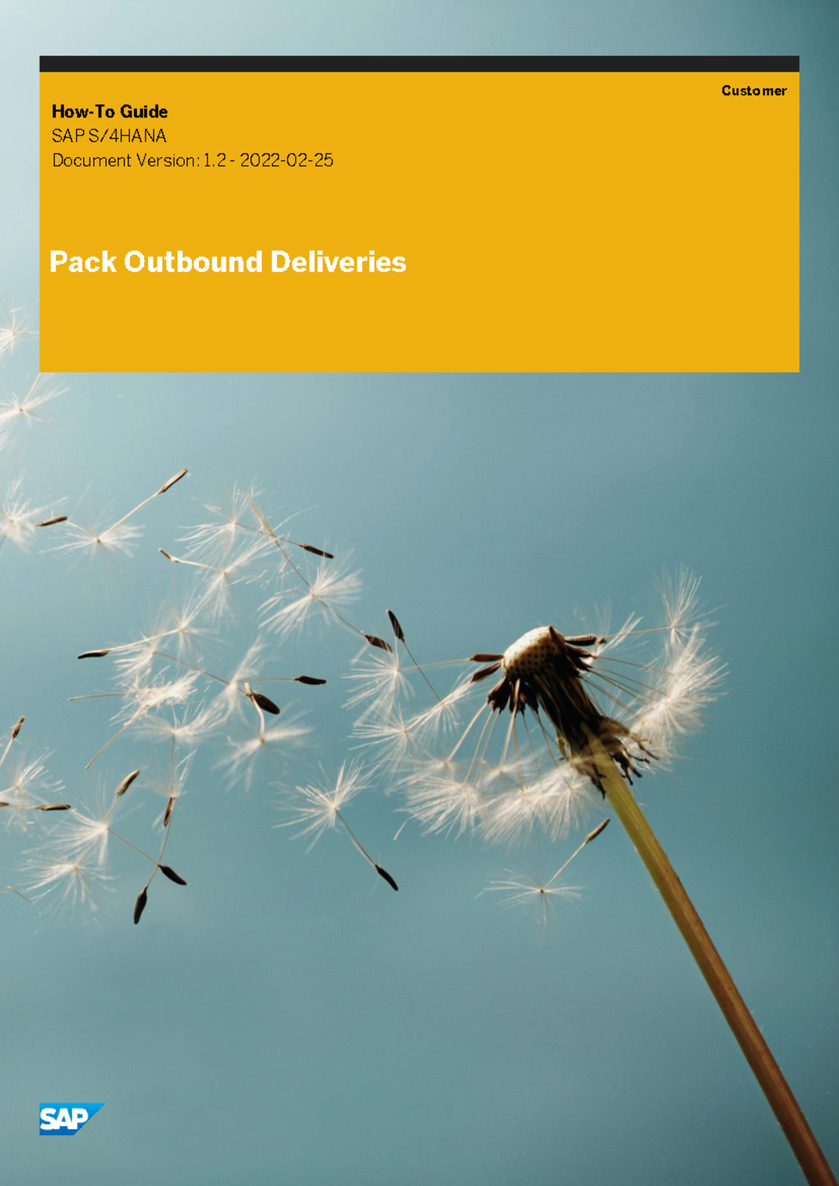 Pack Outbound Deliveries Guide (SAP 2021 SP00) - Studocu