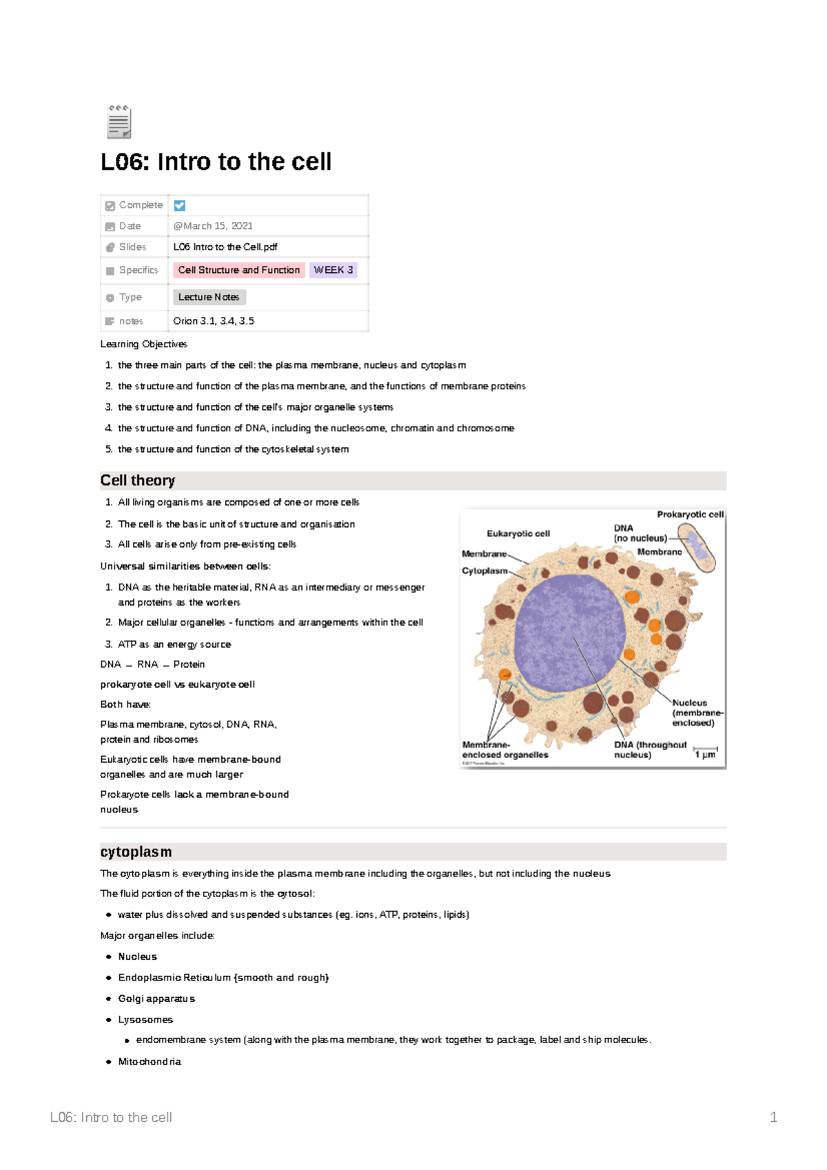 Lecture 6: Intro to the cell (module 2) - 🗒 L06: Intro to the cell ...