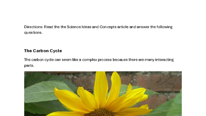 The Carbon Cycle: Key Concepts and Questions for Understanding - Studocu