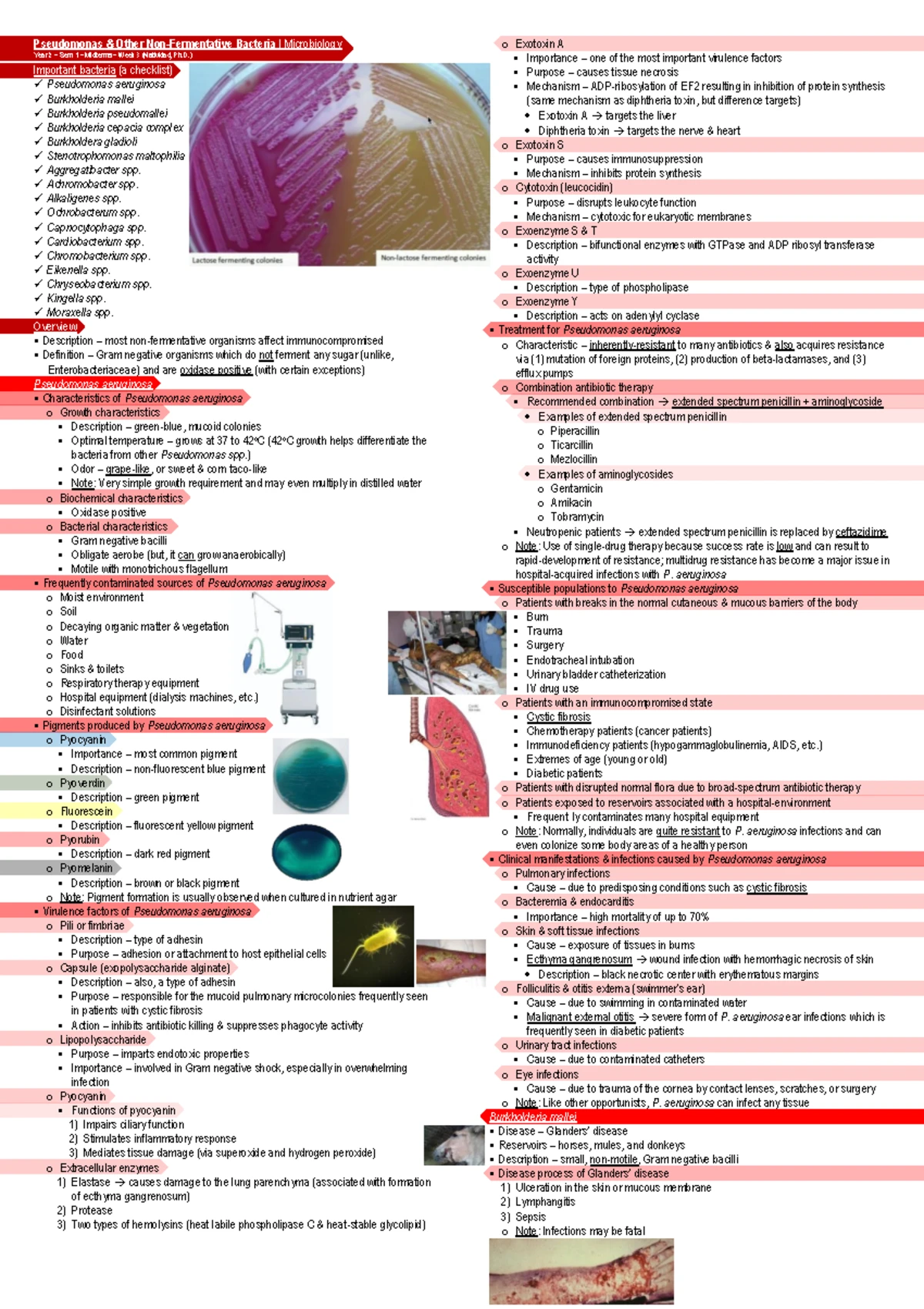 CH29: Key Characteristics & Taxonomy of Viruses in Virology - Studocu