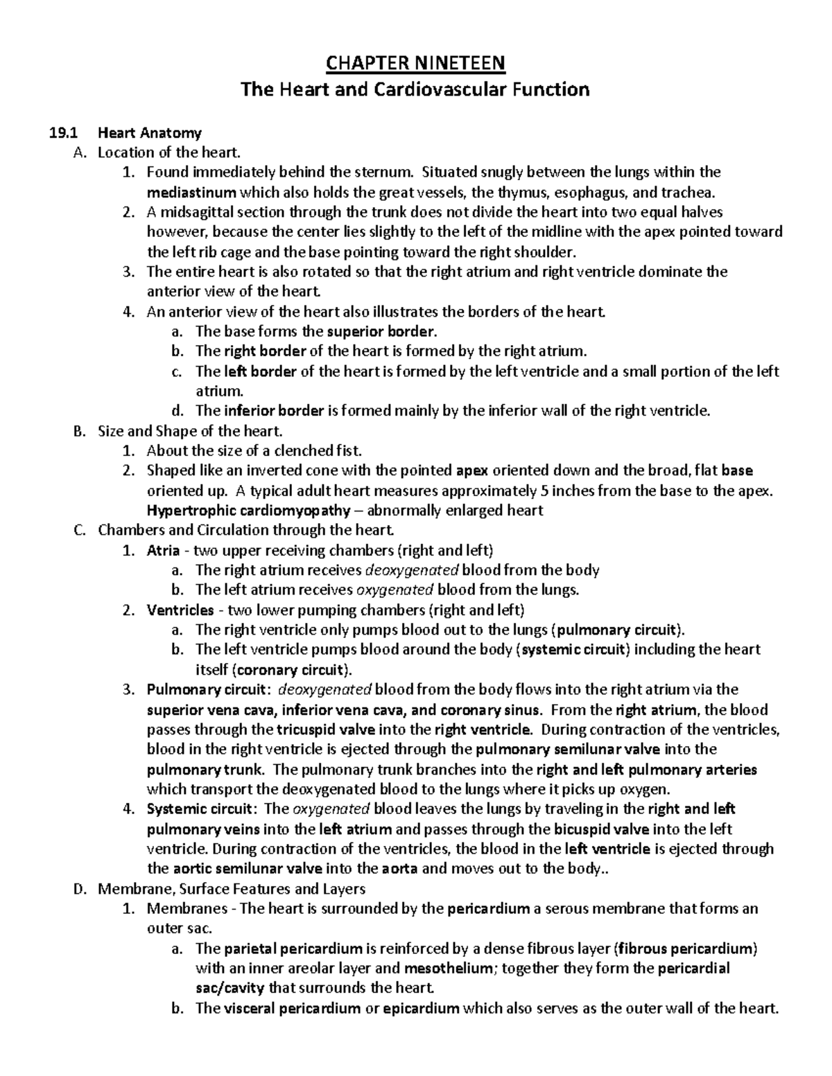 Chapter 19 Outline: The Heart and Cardiovascular Function - Studocu