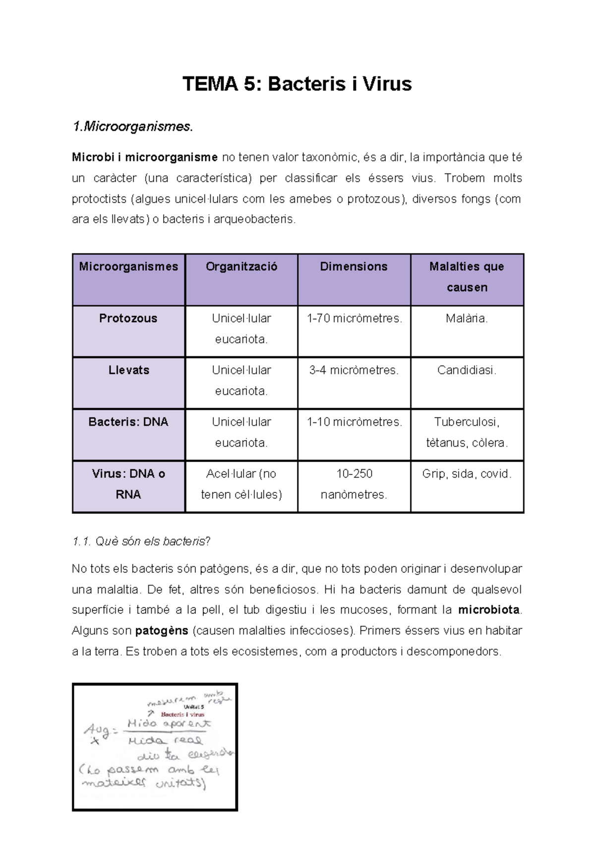 TEMA 5: Bacteris i Virus - Microorganismes i Metabolisme - Studocu