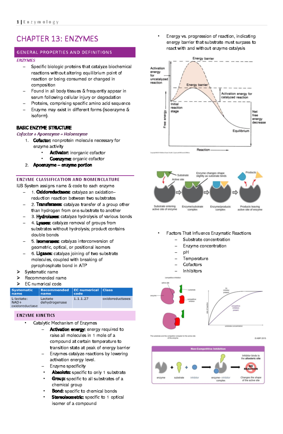 Clinical Chemistry 101: Enzymology Insights and Concepts - Studocu
