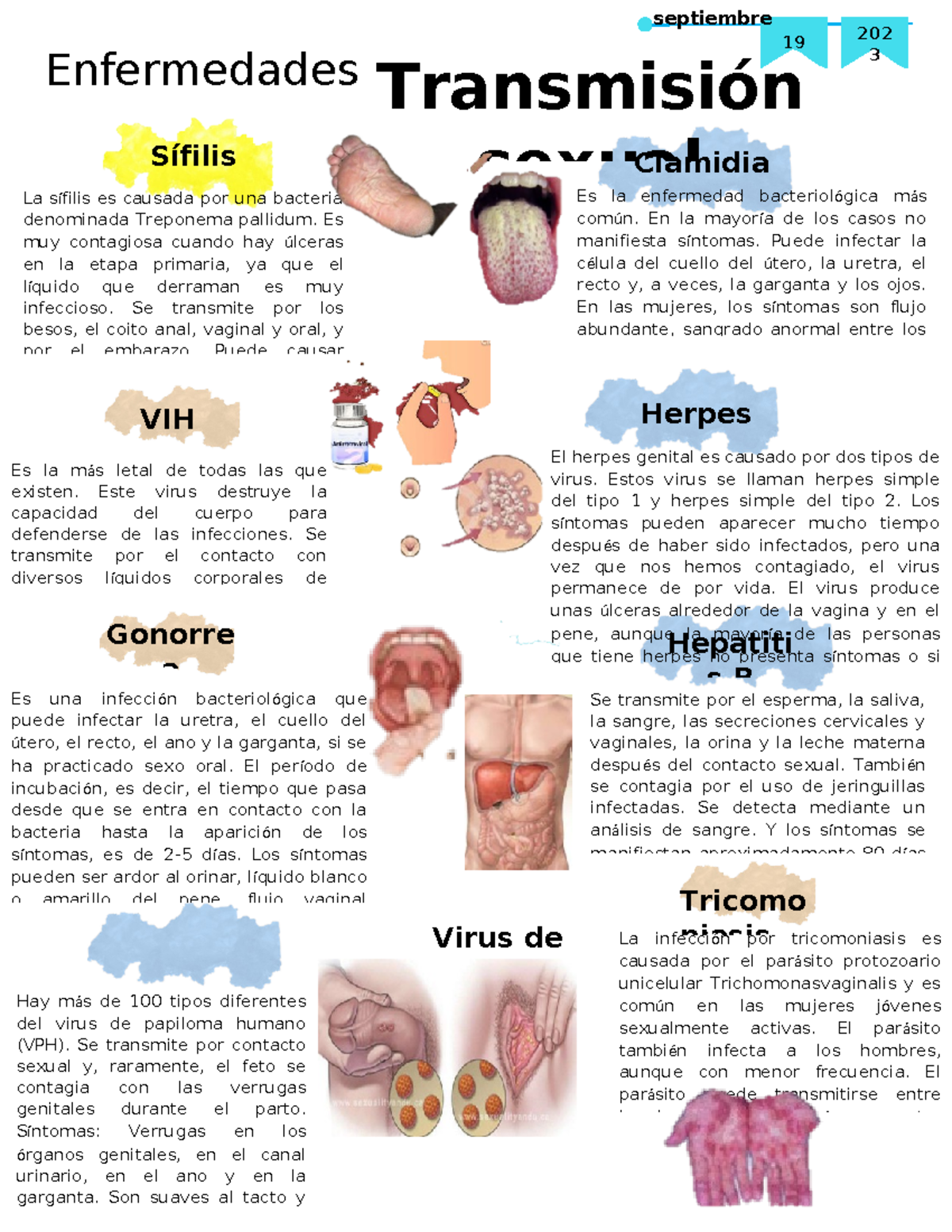 Infografía sobre Enfermedades de Transmisión Sexual (ETS) - Studocu