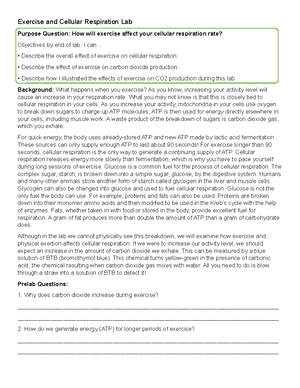 Exercise BTB lab - HAP B AND G - Name: _________________ Date ...