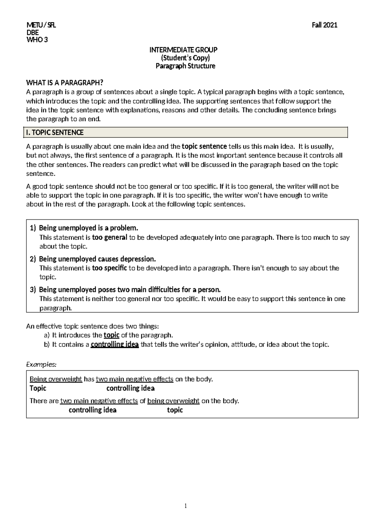 METU SFL DBE WHO 3 Fall 2021 Intermediate Group: Paragraph Structure ...