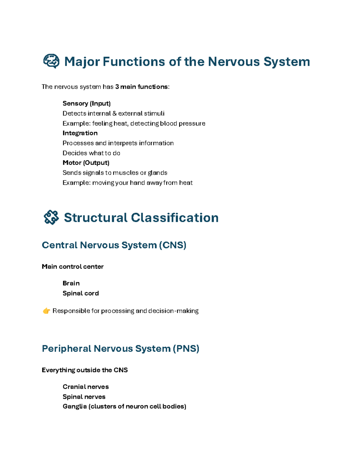 Nervous System Functions and Structure: Exam 3 Notes - Studocu