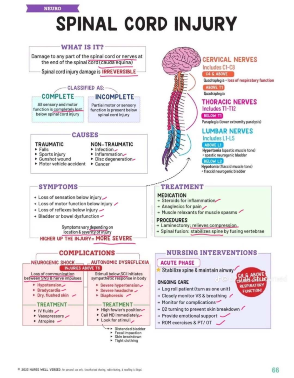 Neuro spinal cord injury overview and nursing interventions (NUR 2023 ...