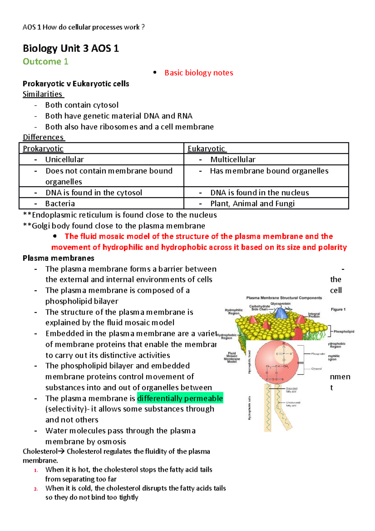 Biology UNIT 3 AOS 1 Notes: Cell Structure, Function & Gene Expression ...